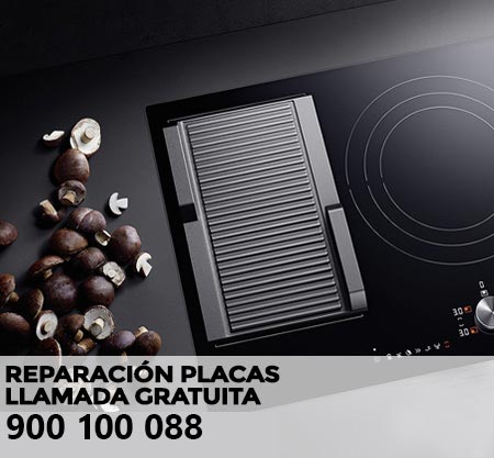 Reparación averías placa de cocción Philips